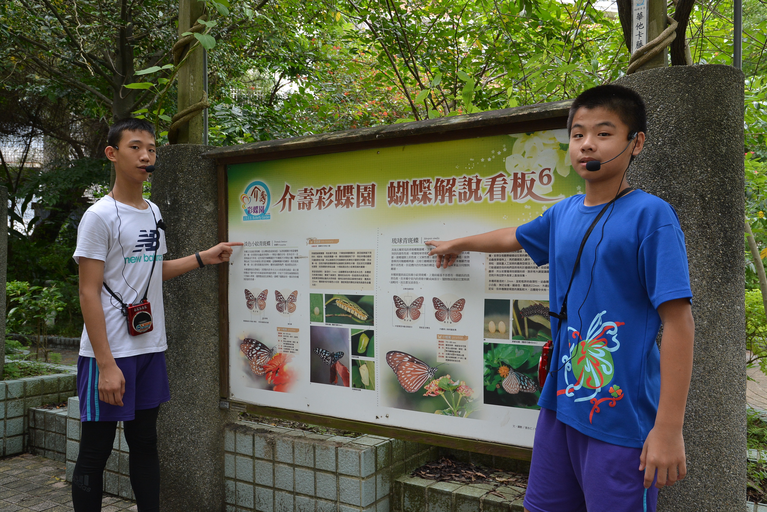 介壽蝴蝶季 英語導覽我最行