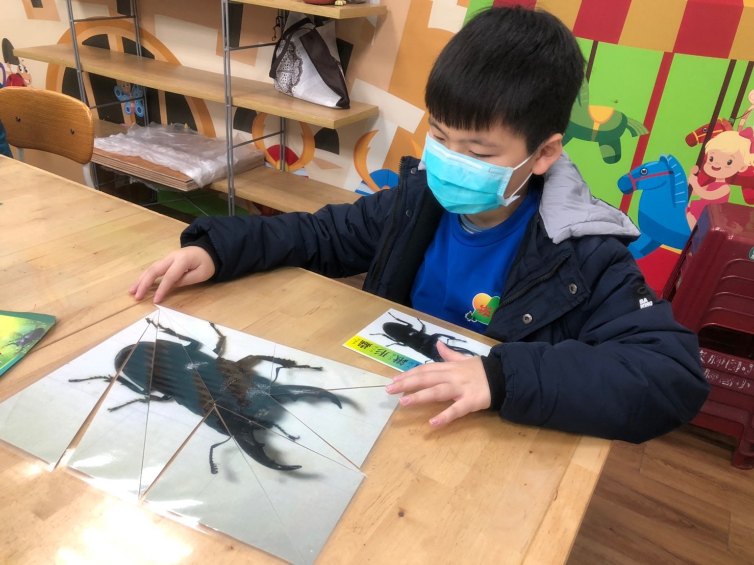 生態闖關活動_拼圖小高手.jpg