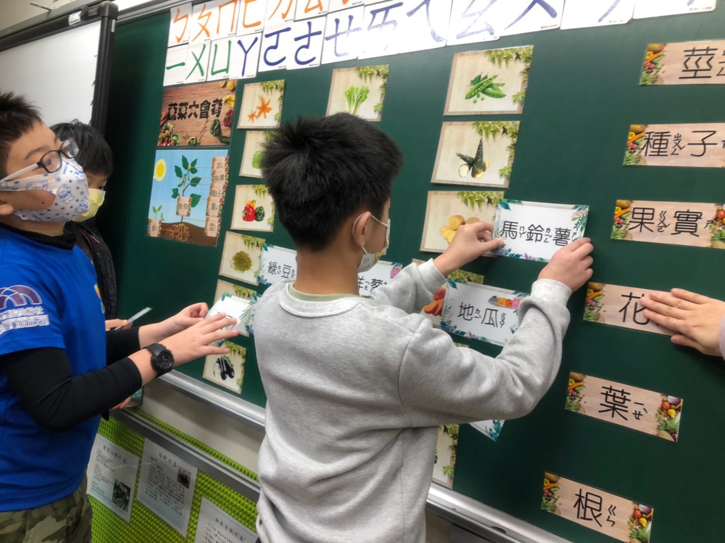 生態闖關活動_蔬菜大會考.jpg