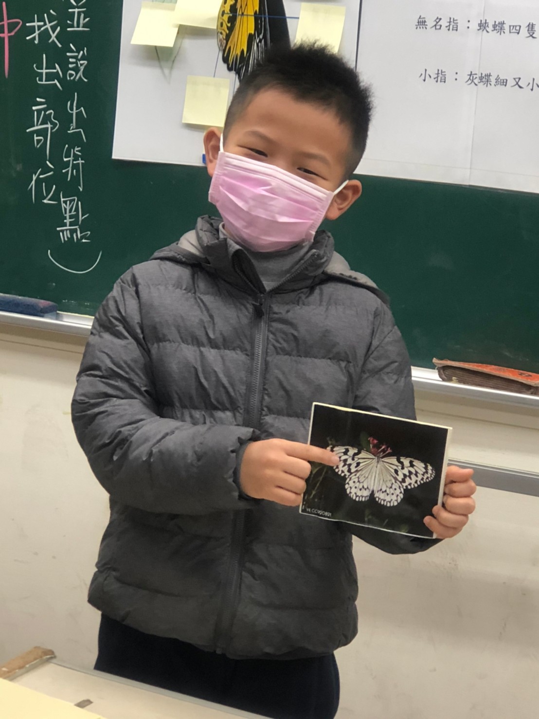 生態闖關活動_蝴蝶知識大會考.jpg