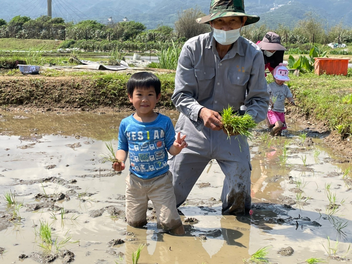 家長們帶著孩子下田插下一株株的秧苗(資料照).jpg
