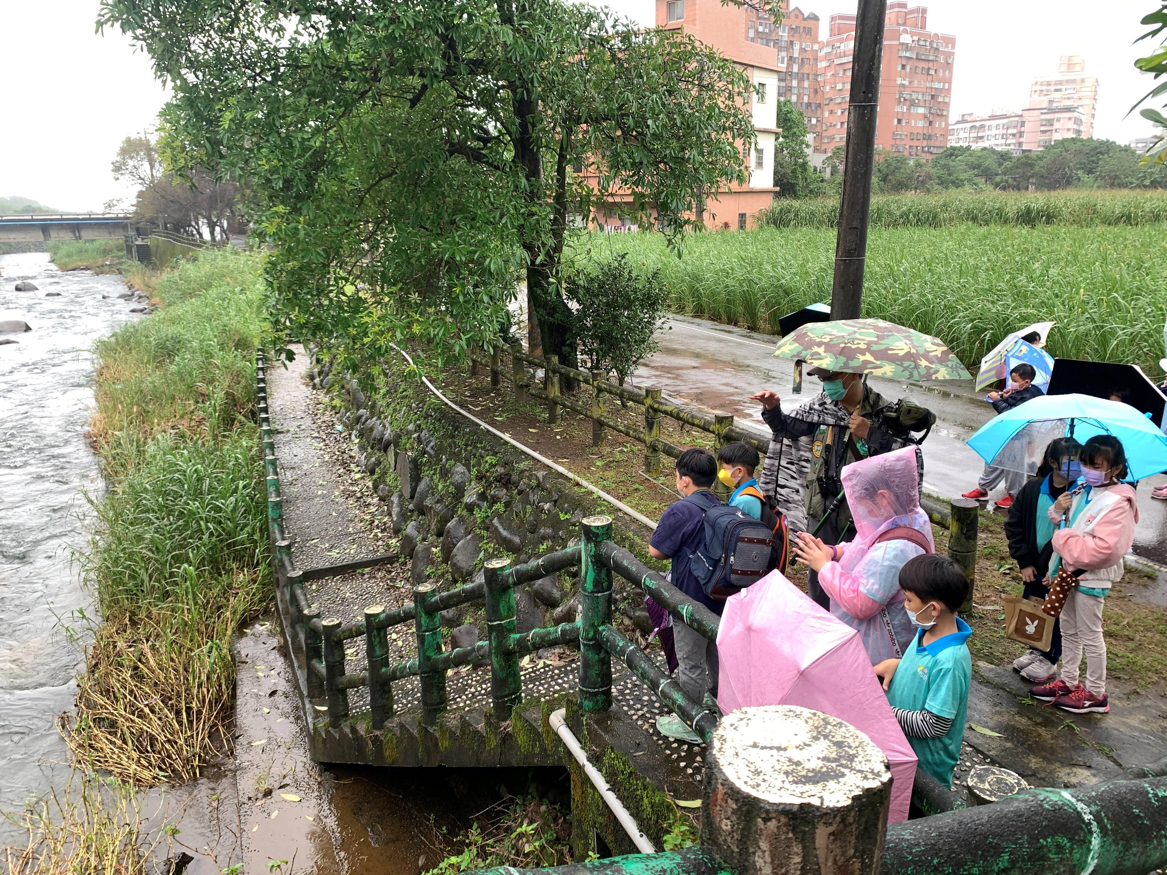 横山國小學生走查八連溪，觀察河川生態。.jpg