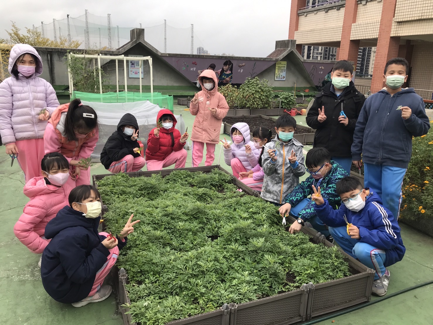 3.到日光農場摘艾草.jpg
