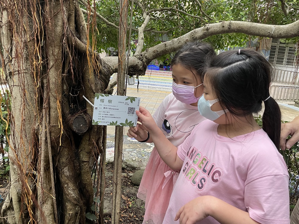 安溪國小學生協助學校掛樹木解說牌.jpg