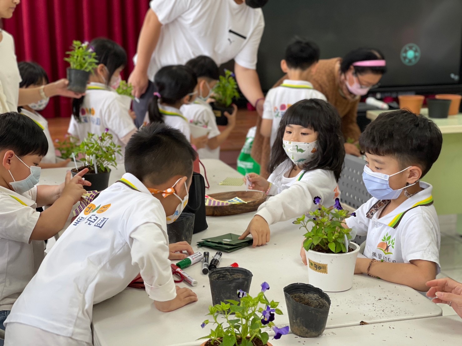 「韶樂繞樑，綠意盎然」－幼小銜接樂趣多||