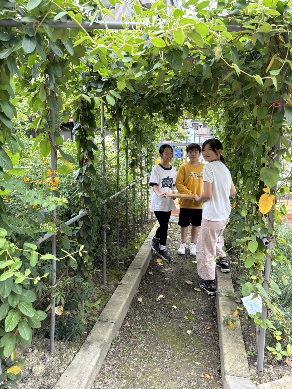 01採集香草.jpg