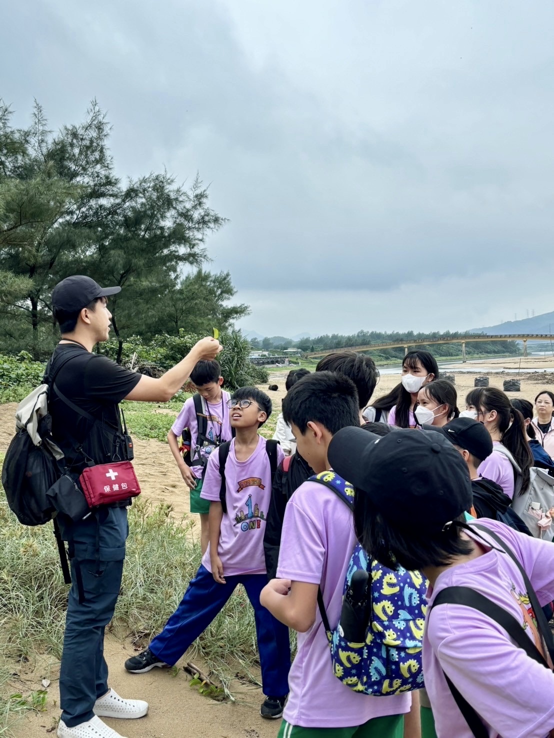馬鞍藤不定根辨識的教學.JPG