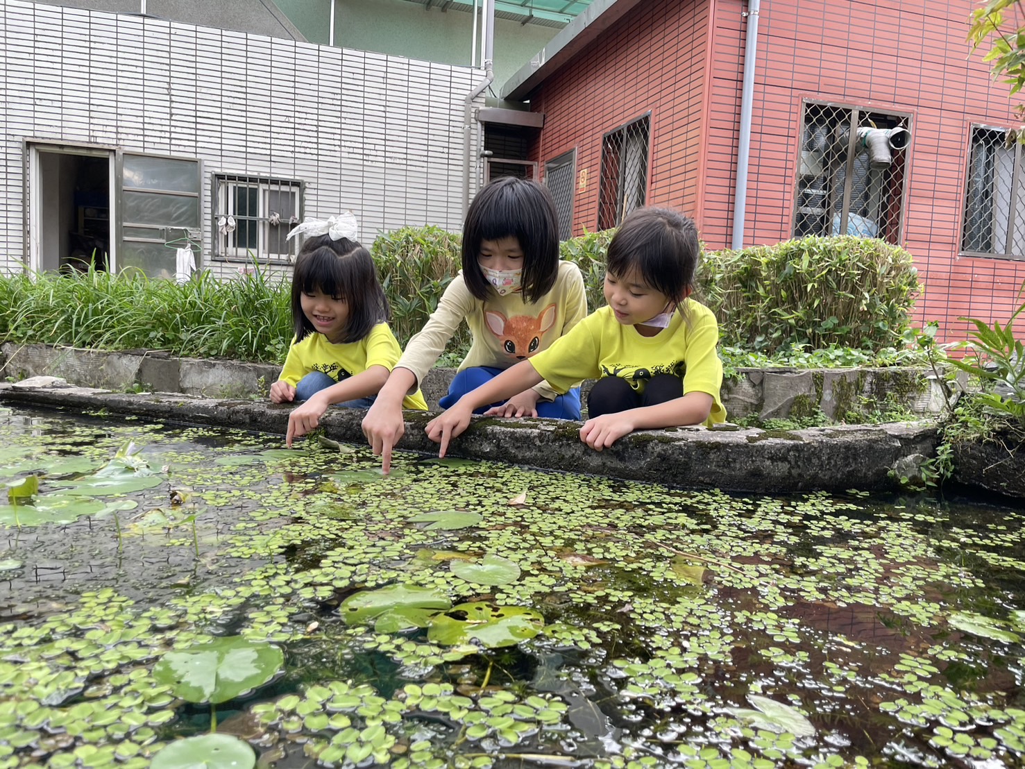 學生利用下課時間整理生態池、移除外來植物