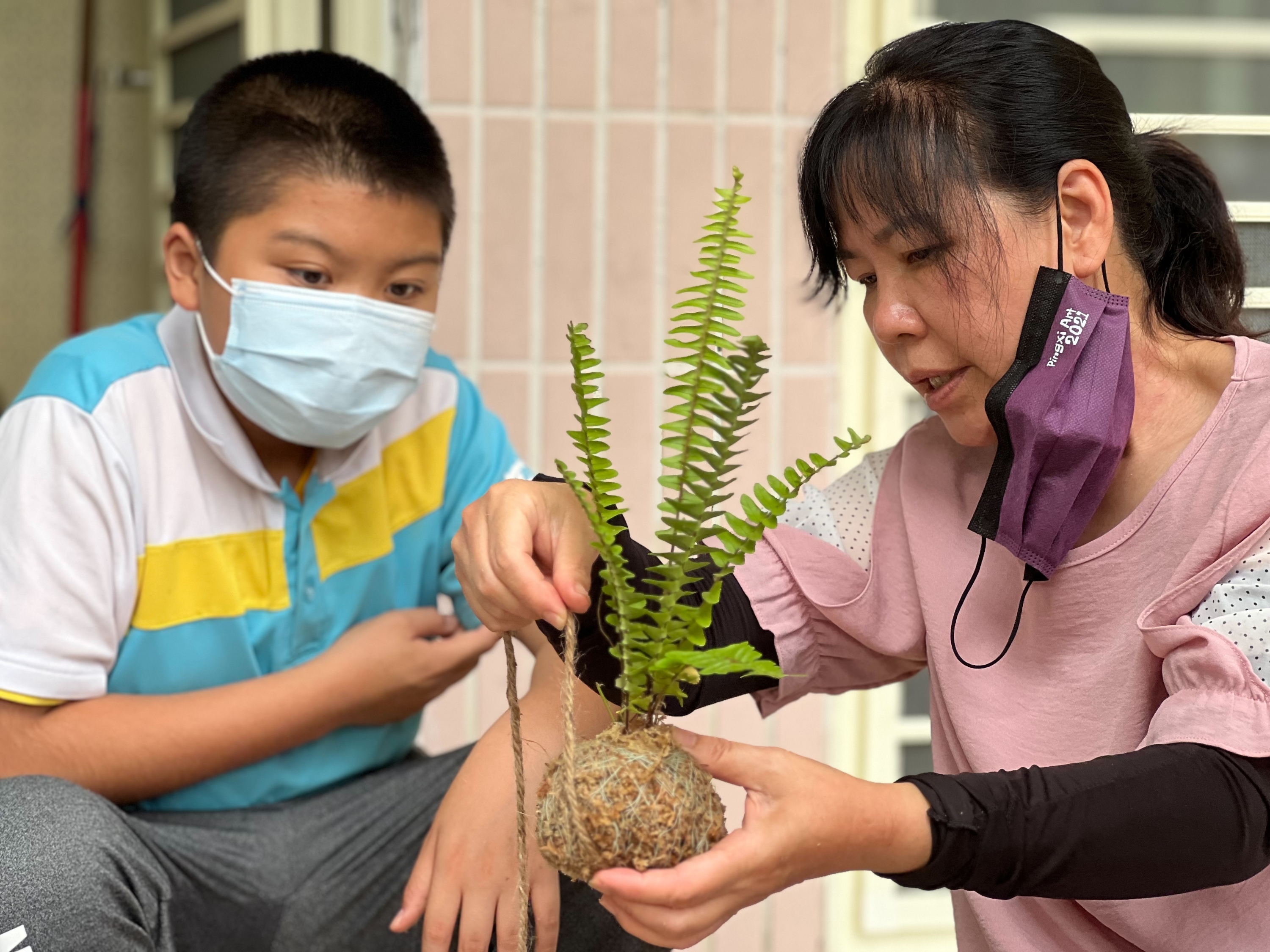 「水苔球」植栽人見人愛，平溪國小激發學生美感素養，擴大思考苔蘚植物在生活美學的應用.jpg