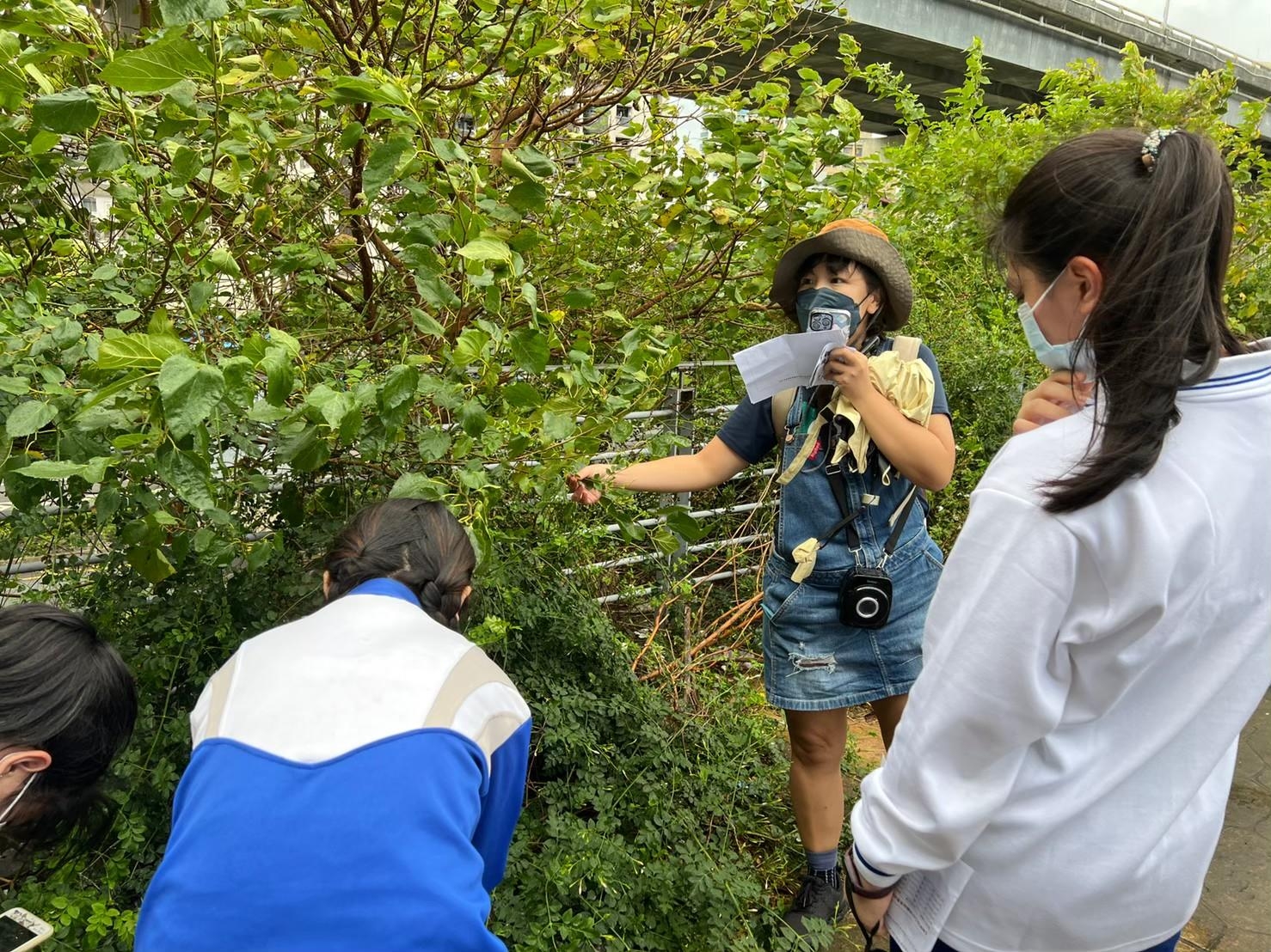 三重高中教師跨域合作課程帶領學生復育香花並作植物觀察紀錄.jpg