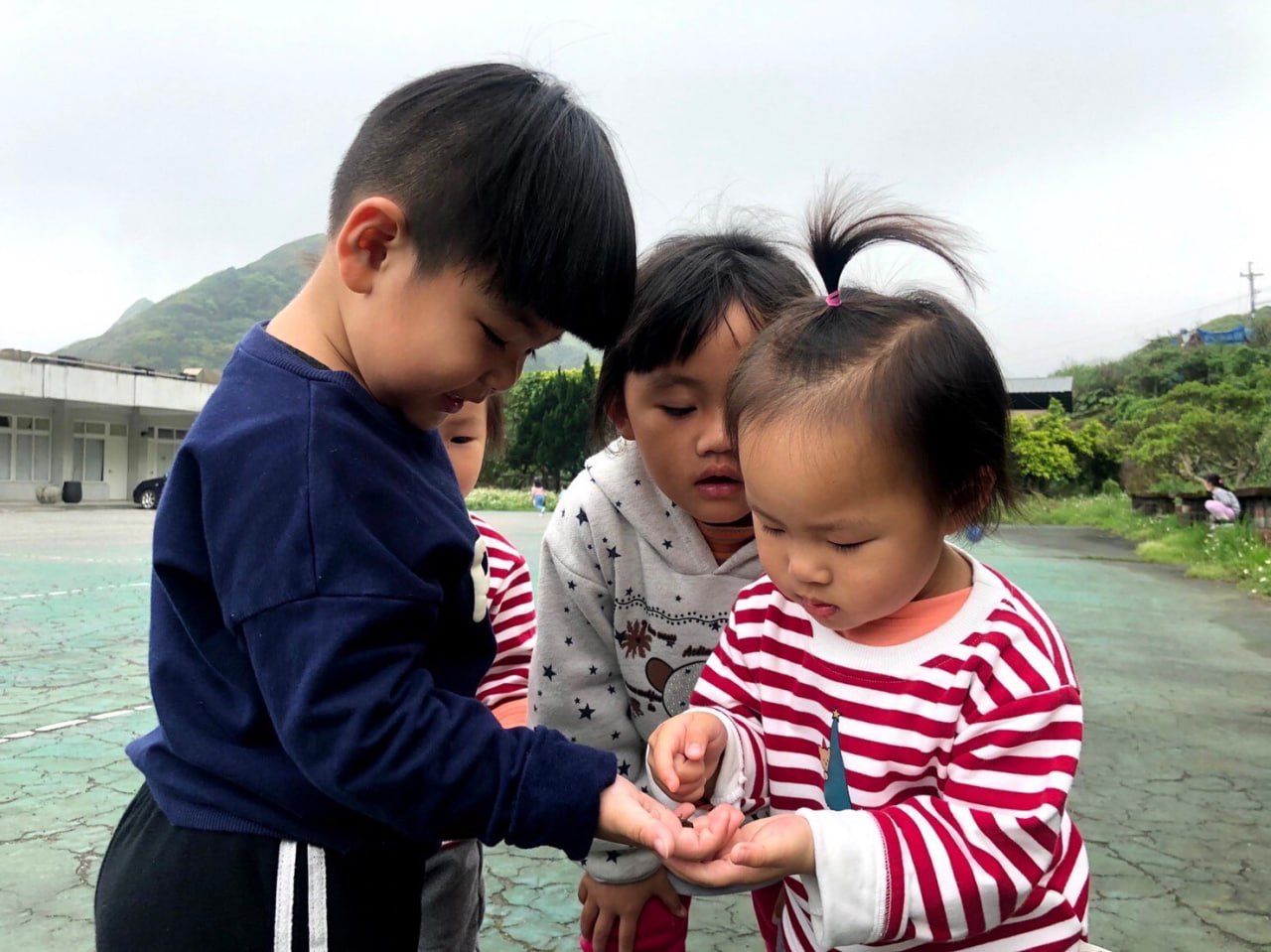 乾華國小附設幼兒園設計「大自然的學校」主題課程，讓幼兒盡情體驗自然生態。.jpg