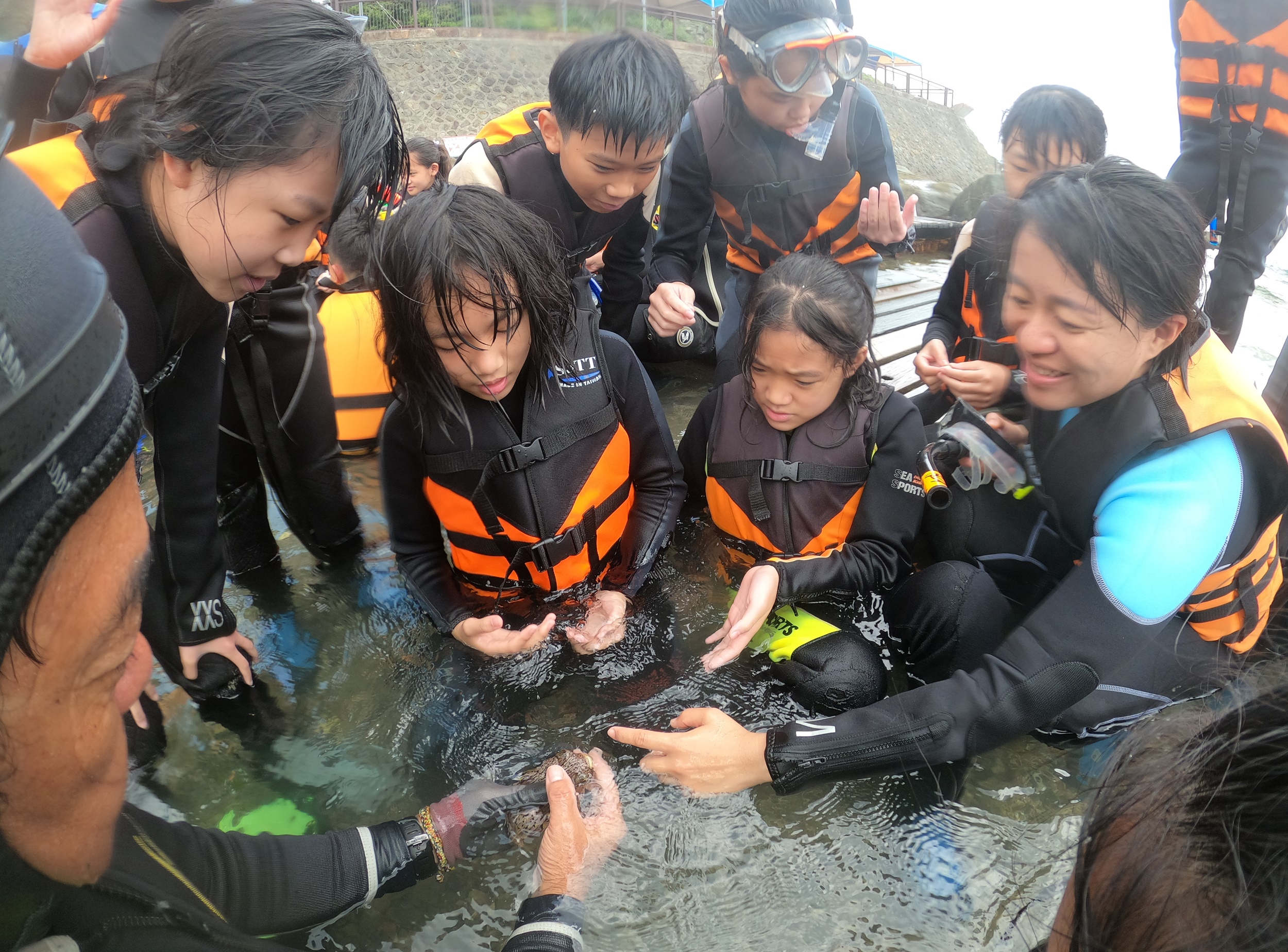 學生透過浮潛觀察海洋生物.jpg