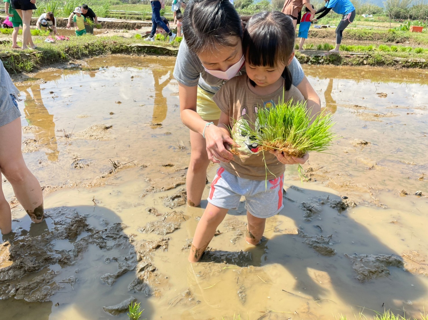 金美國小附幼星星班插秧(資料照).jpg