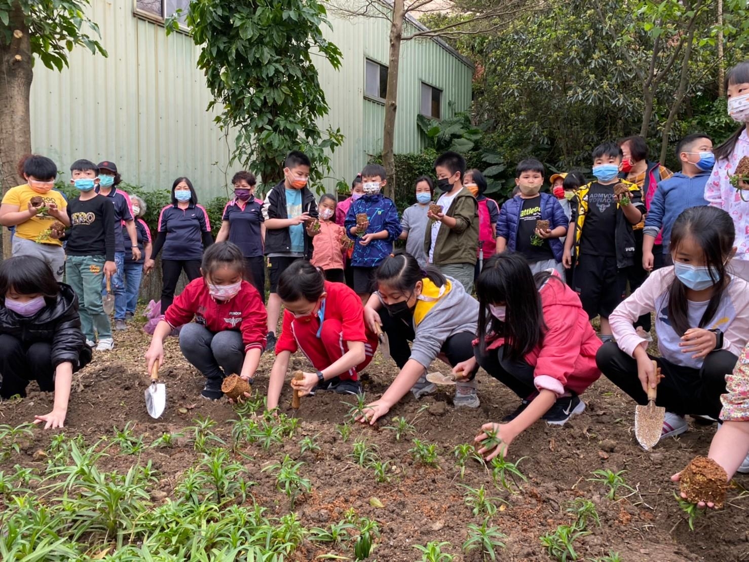 2學生們在老師的引導下，依序將手中的百合種在泥土中.jpg